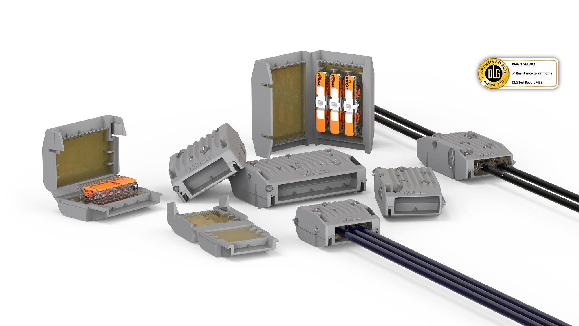 Market_Launch_X_Gelbox_for_Inline_GWA_EN_2000x1125