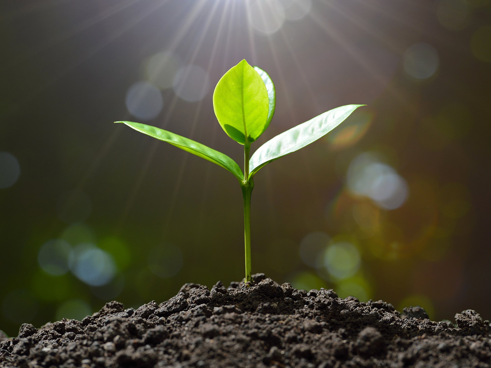 csr-bericht_fotolia_116910132_2000x1500.jpg