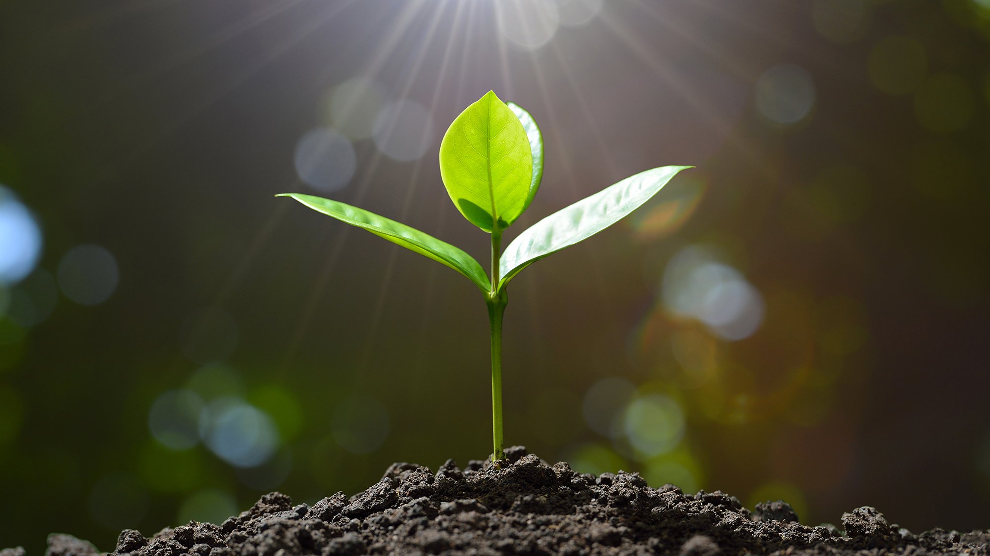 csr-bericht_fotolia_116910132_2000x1125.jpg